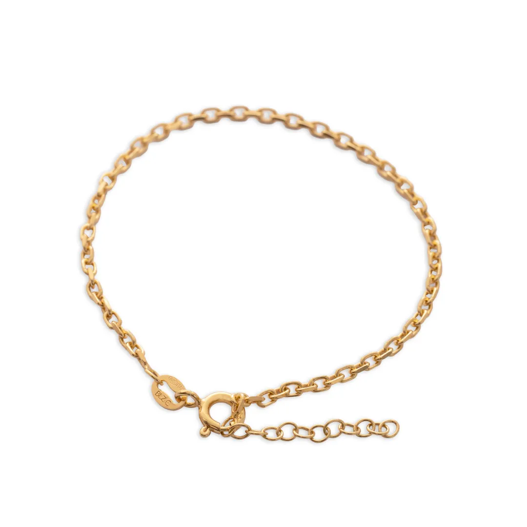 P Aros IT 2 mm 15.5 Cms + Ext - 55031